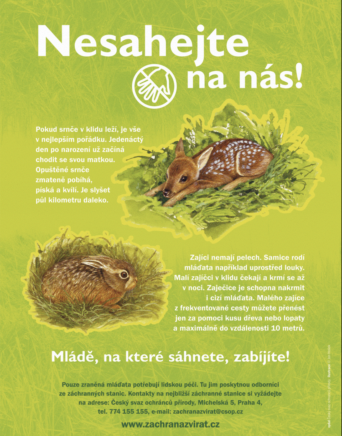 Program Zvíře v nouzi – Národní síť záchranných stanic (ČSOP)