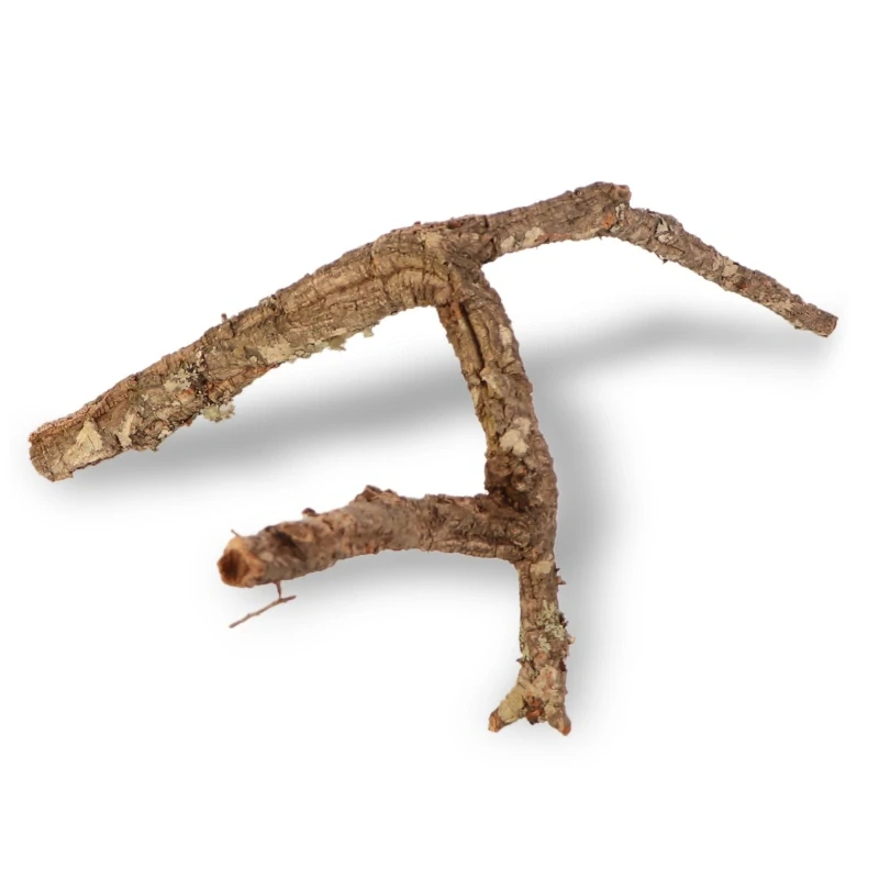 Stromeček z korkového dubu 40 cm