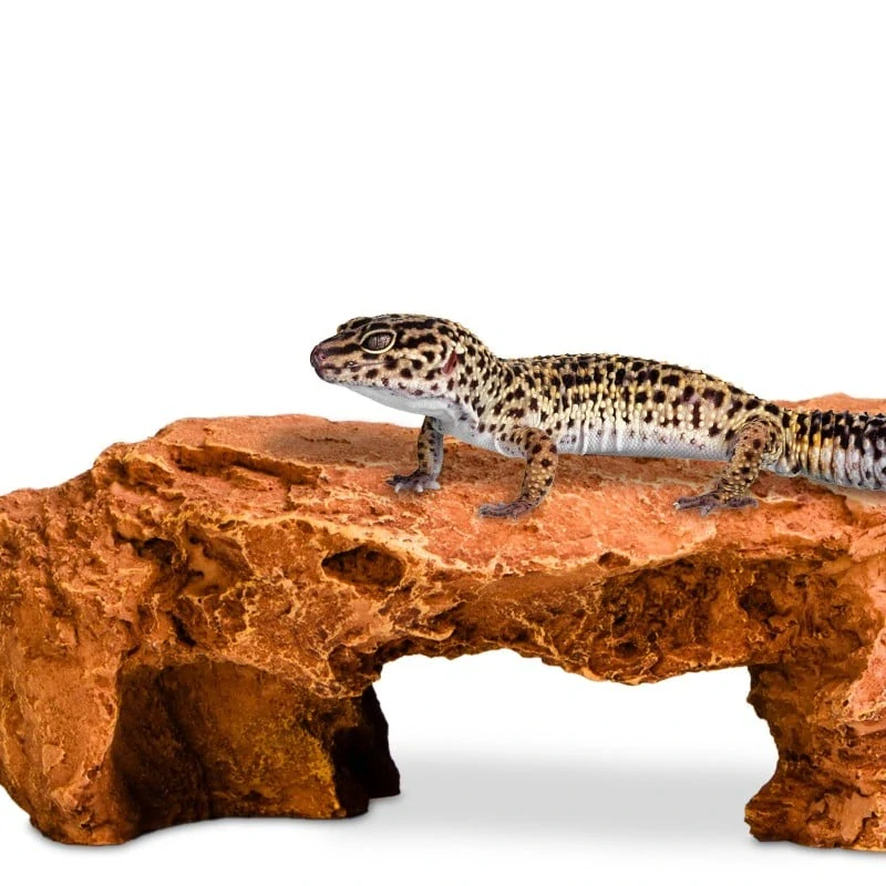 Terrario Mountain Shelf M - úkryt do terária 22x17x8,5cm