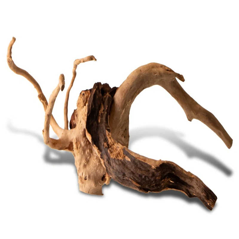 Shizen Essence J-roots S - malé japonské kořeny Mizube a Ryuboku