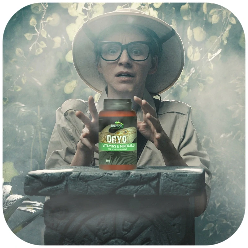 Terrario ORYO pro agamu vousatou 150 g