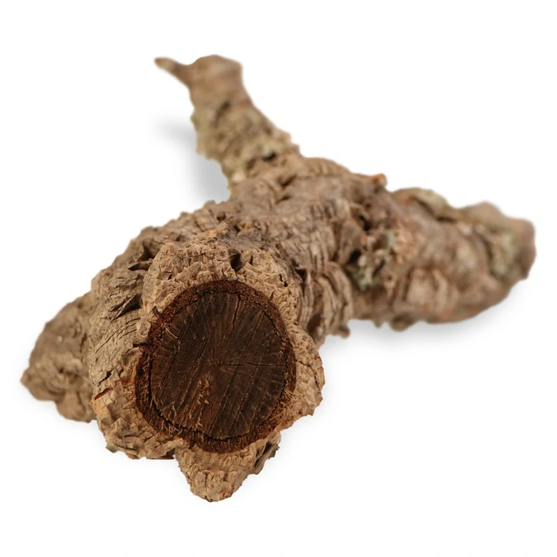 Stromeček z korkového dubu 40 cm