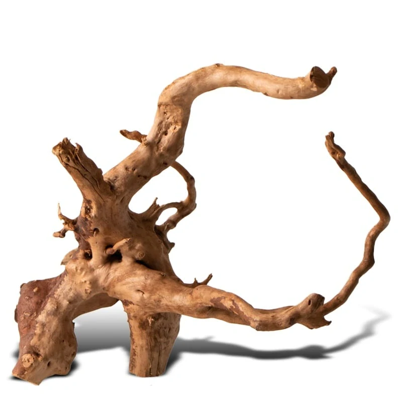 Shizen Essence J-roots S - malé japonské kořeny Mizube a Ryuboku