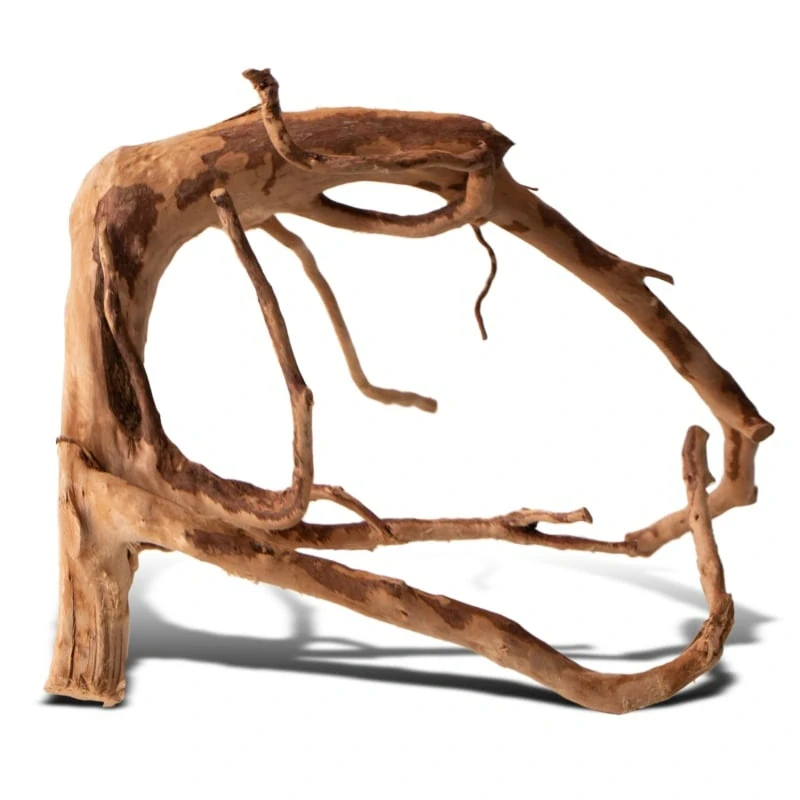 Shizen Essence J-roots S - malé japonské kořeny Mizube a Ryuboku