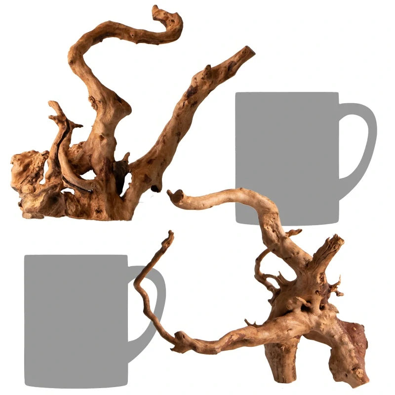 Shizen Essence J-roots S - malé japonské kořeny Mizube a Ryuboku